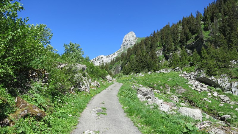 Mont Gardy, randonnée d'été depuis le Flon sur Miex via le lac de Tanay